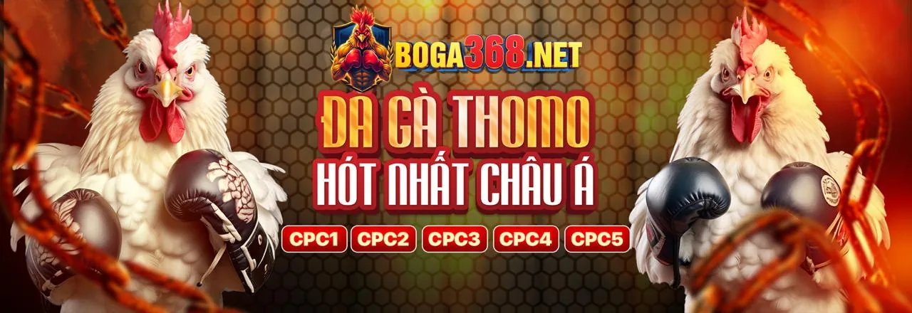 Đá Gà Trực Tuyến Hấp Dẫn trên Ứng dụng gacam67a